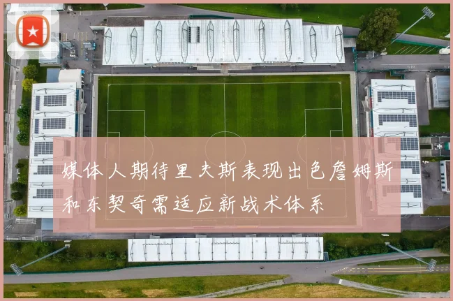 媒体人期待里夫斯表现出色詹姆斯和东契奇需适应新战术体系