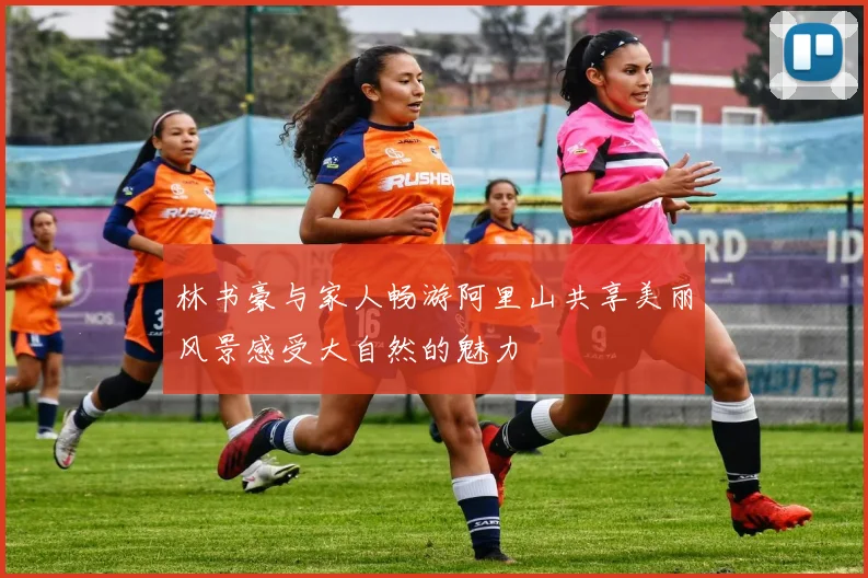 林书豪与家人畅游阿里山共享美丽风景感受大自然的魅力