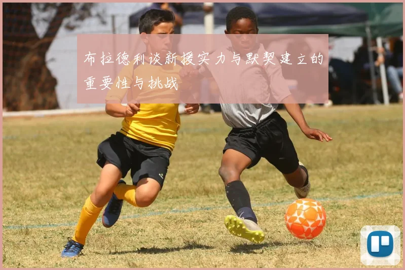布拉德利谈新援实力与默契建立的重要性与挑战